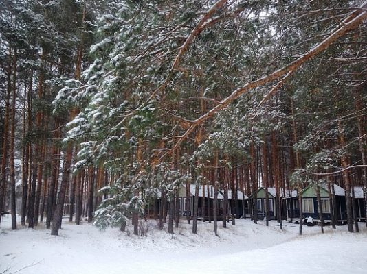 База отдыха "Трикотажница"