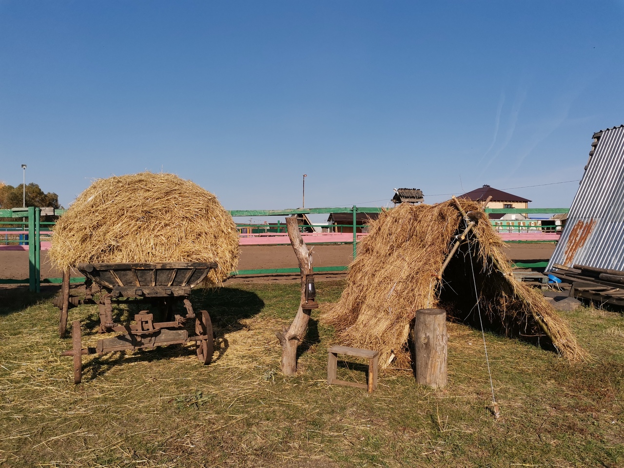 Золотая грива