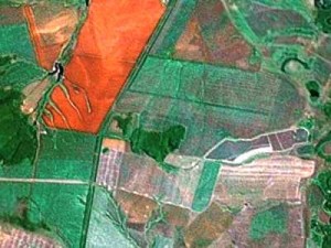 Стрела Тохтамыша