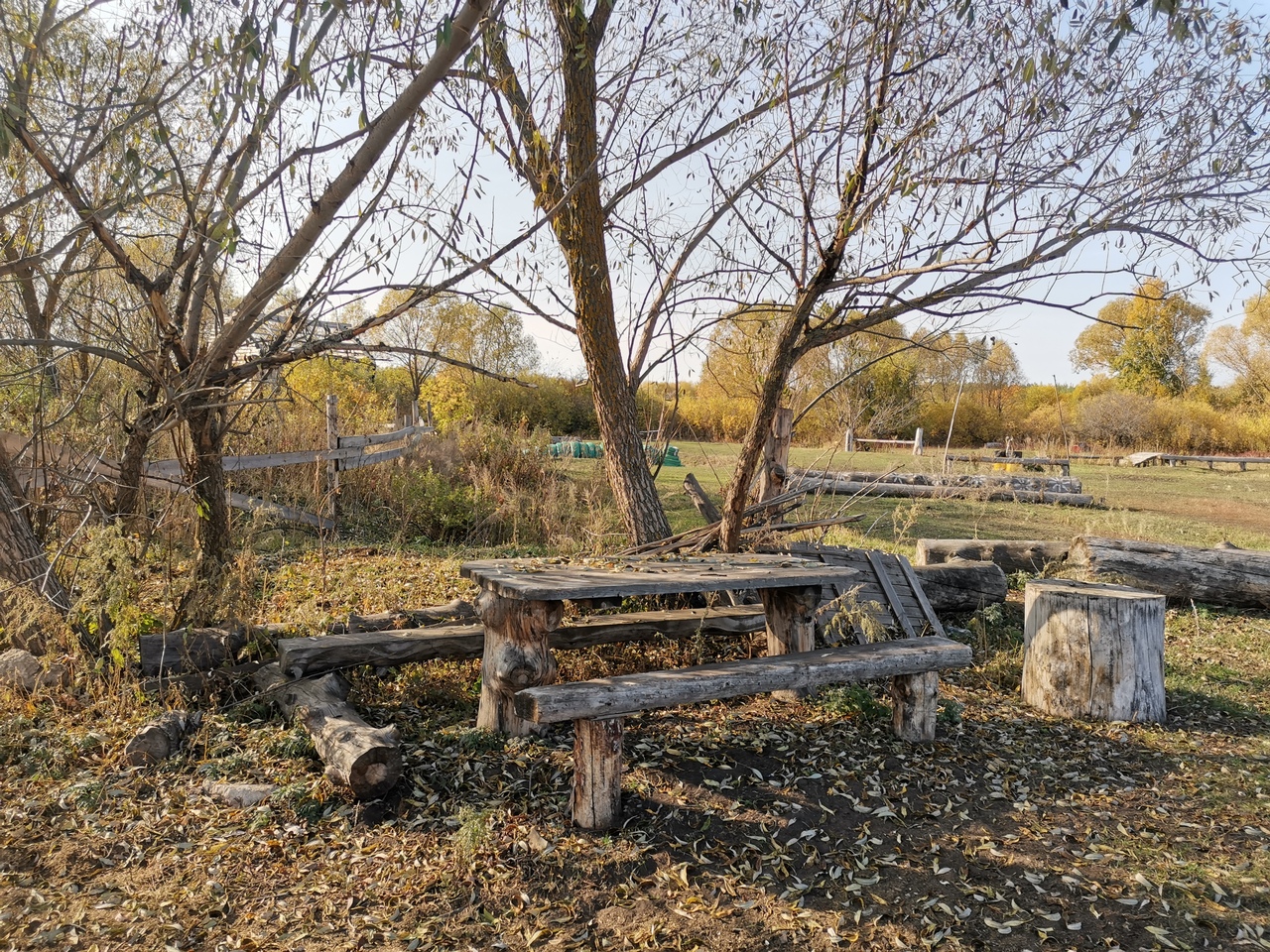 Золотая грива