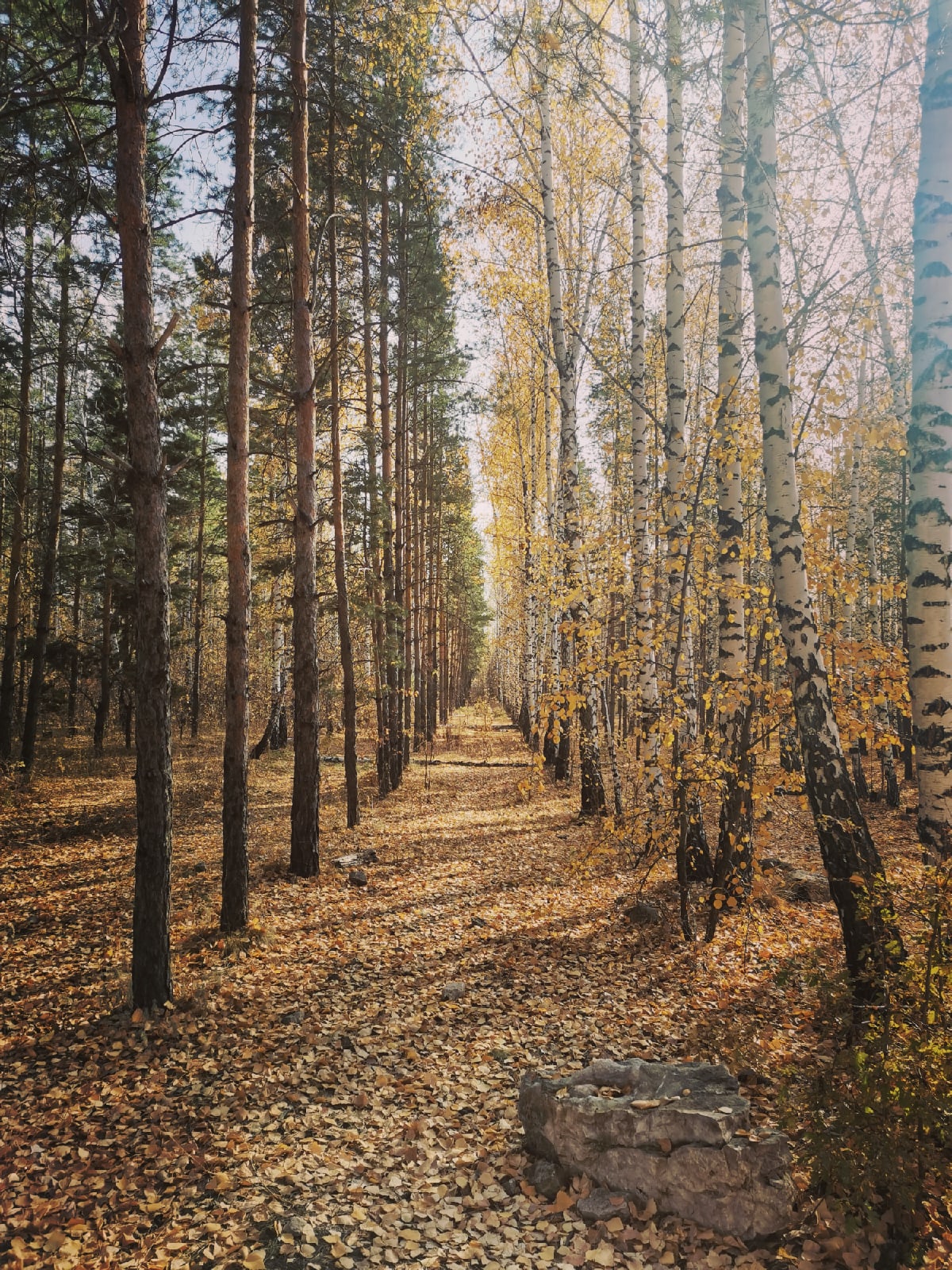 Члены профессионального союза работников культуры м.р. Красноярский посетили Царев Курган