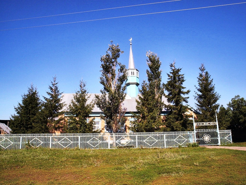 Погода новый буян точная. Село Новоурайкино Самарская область. Новый Буян Самарская область. Старый Буян Самарская область. Село новый Буян Самарская область Красноярский район.