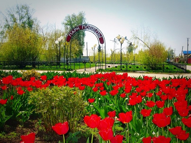 Красный яр самарская. Красный Яр Самарская область. Красный Яр (Красноярский район, Самарская область). Село красный Яр Самарская область. Красный Яр Самара.