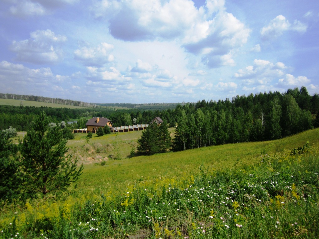 Бинарадские сосняки