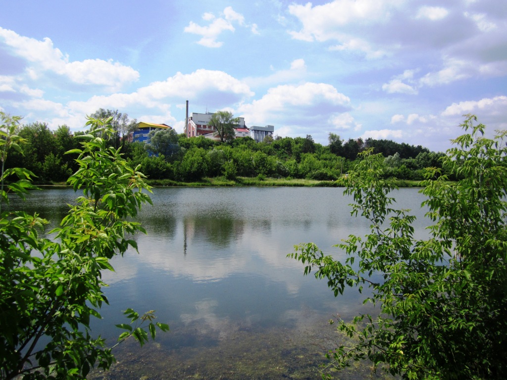Село новый буян. НОВОБУЯНСКИЙ спиртзавод. Новый Буян спиртзавод. Арзинка спиртзавод. Спиртзавод в новом Буяне Самарской области.