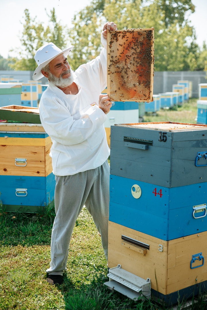 Петропасека