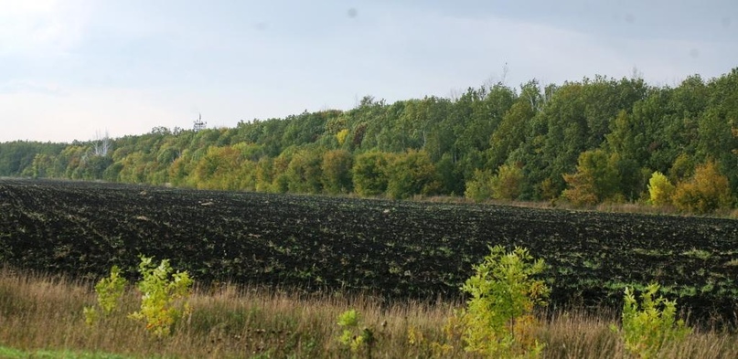 Удивительное рядом