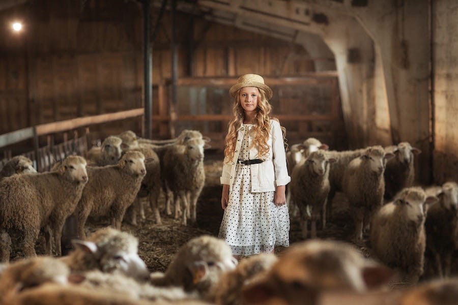 «В моих лугах…»