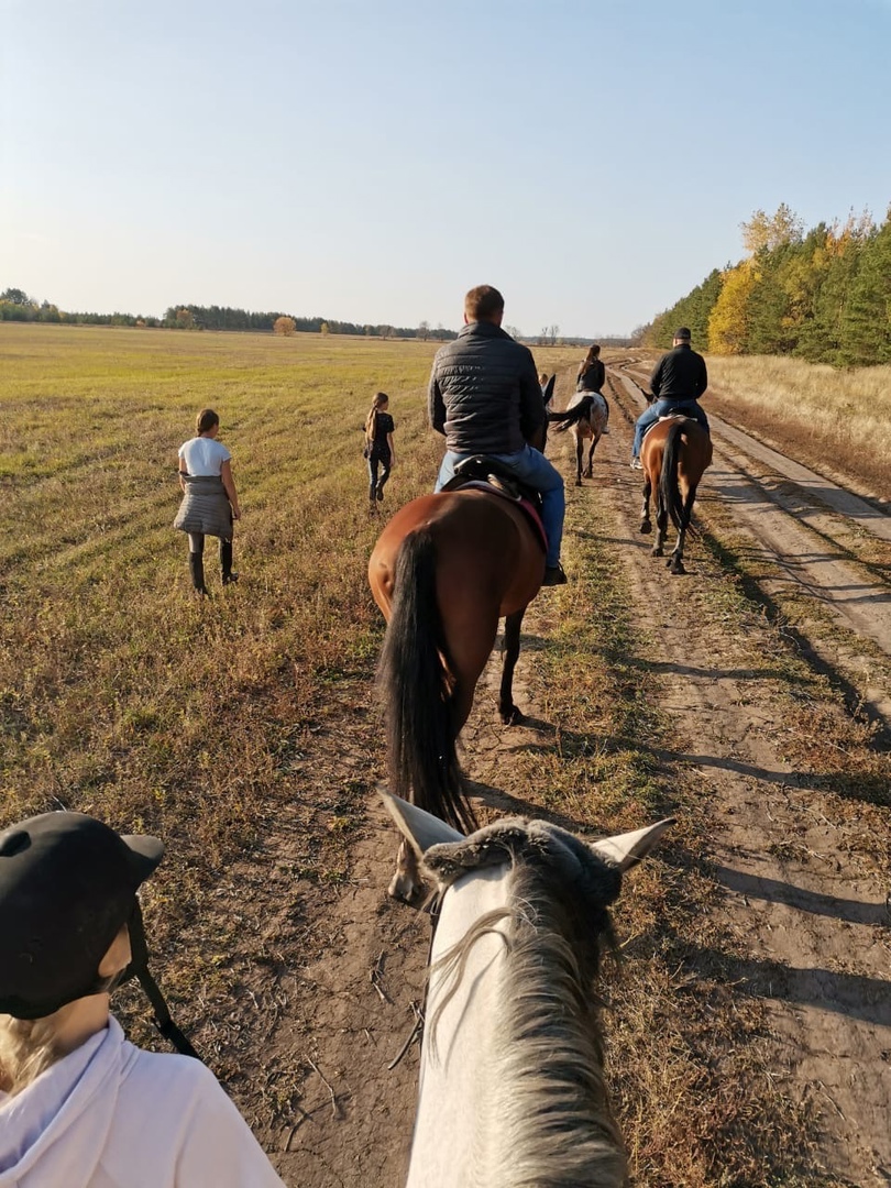 К подножию горы Алтай