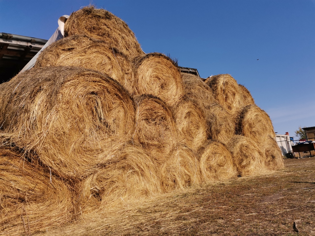 К подножию горы Алтай