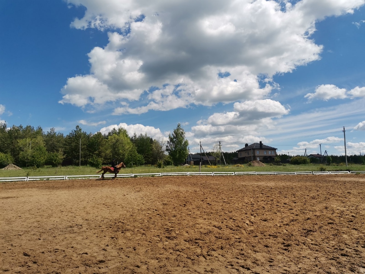 Прекрасная погода для конных прогулок...